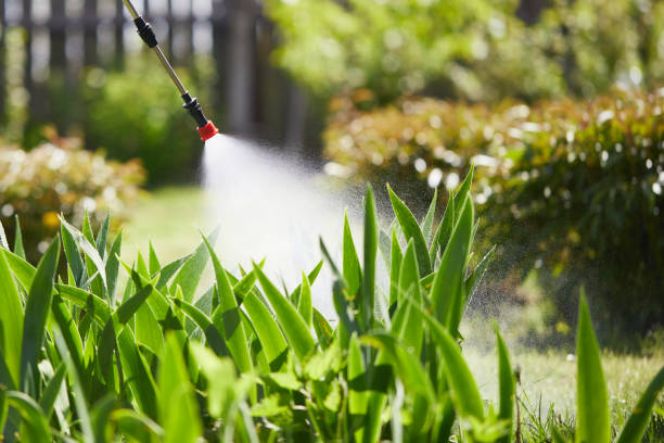 24/7 Emergency Rodent Control experts in Fort Lupton, CO