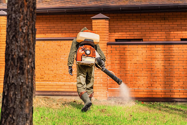 Trusted Cockroach Control service in Fort Lupton, CO - Nex Pest Control